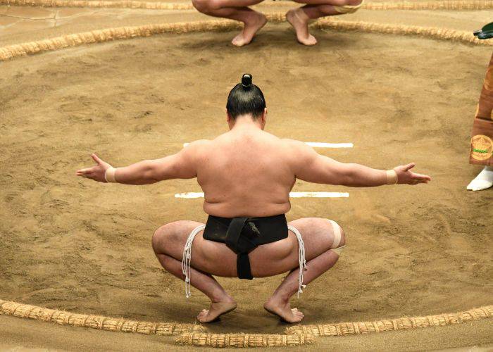The powerful sumo wrestler squat, arms held up, meant to threaten your opponent.